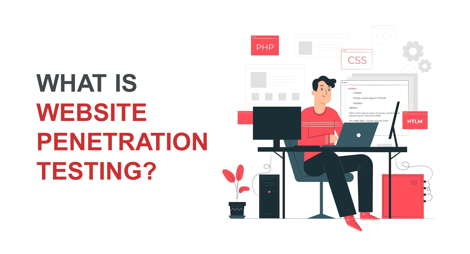What is Website Penetration Testing