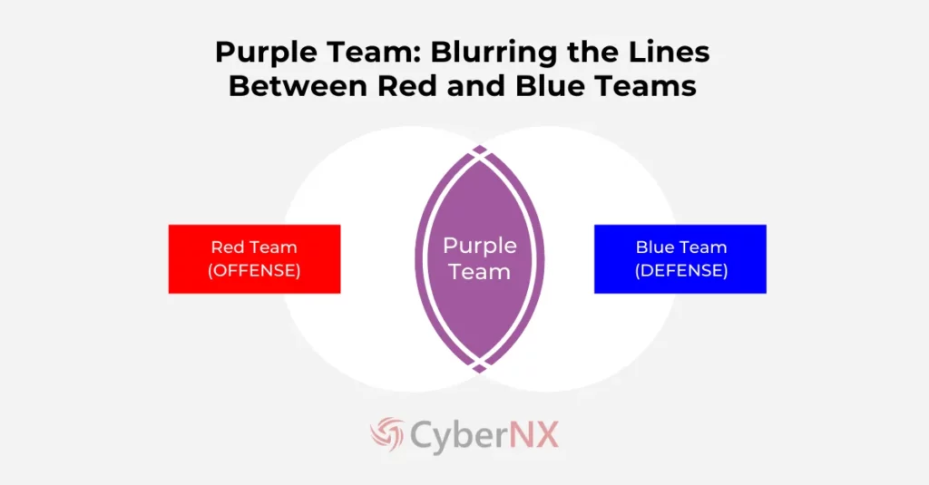 Purple Team in Cyber Security