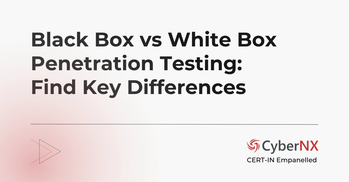 Black Box vs White Box Penetration Testing