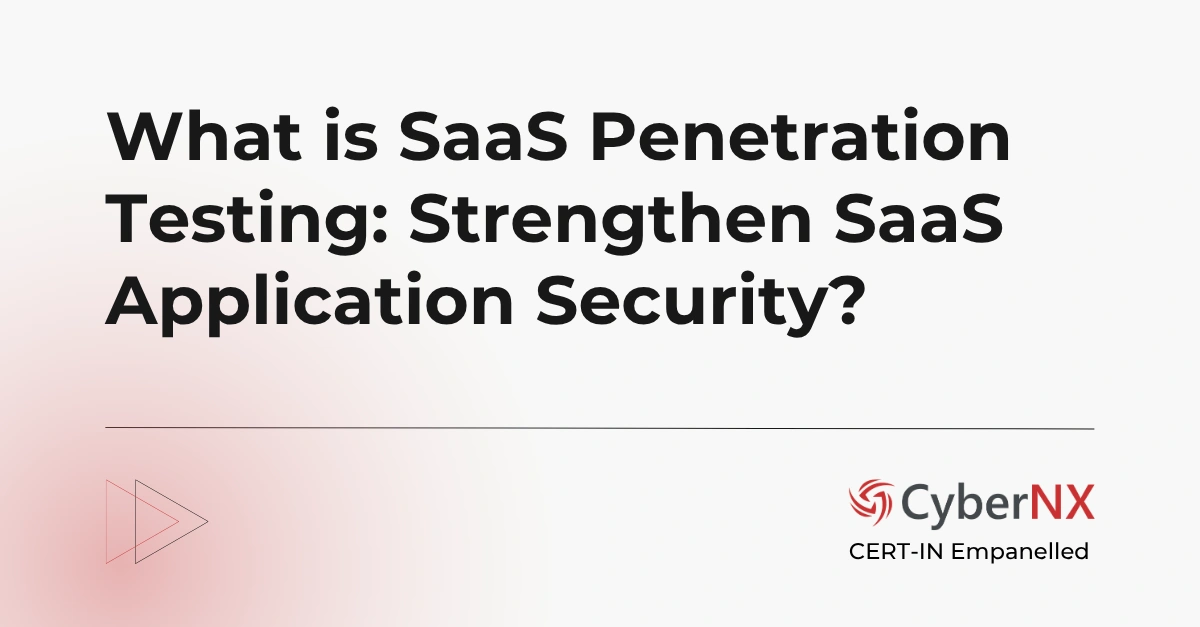 SaaS Penetration Testing