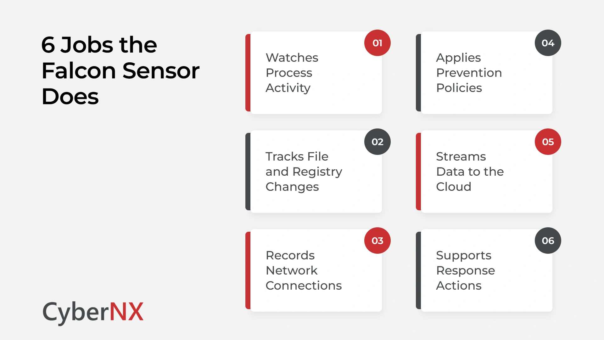6 Jobs the Falcon Sensor Does
