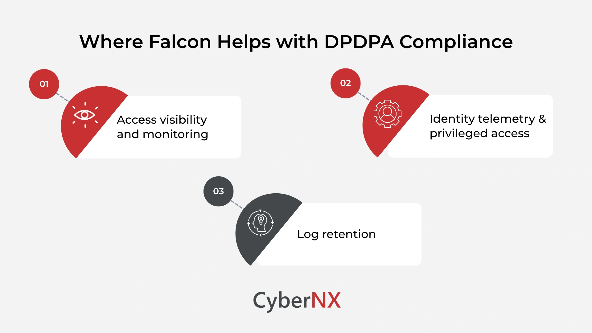 Where Falcon Helps with DPDPA Compliance